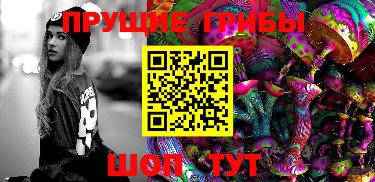 купить   Вход с VPN  Новошахтинск  Галлюциногенные грибы Psilocybe 